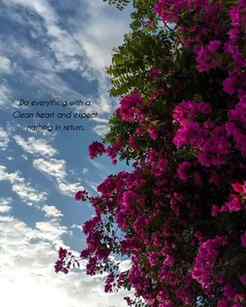 Do everything with a clean heart and expect nothing in retur