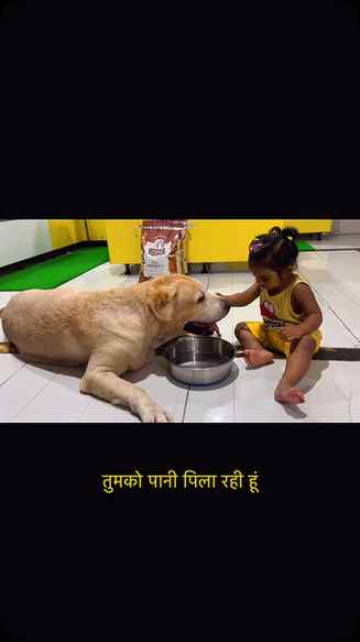 Walk ke baad Kuzo ki water duty bhi Omi ki hai 🥹💧🐶
Little