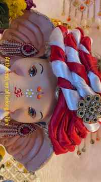 Eyes have the divine power 🥹🧿

#bappa #ganpati #eyes #expl