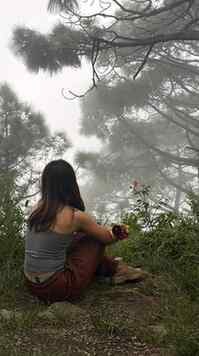 Kind of therapy 

🌿🍃💚 | nature therapy, greenery, peacefu