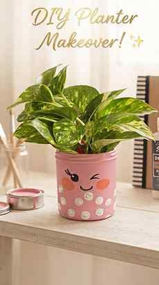 From plain to pretty! 🌸 Sometimes the best decor is the one