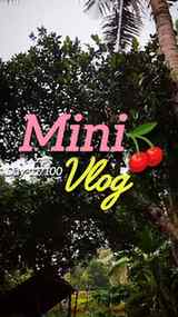 Mini vlog day -11/100 বৃষ্টি ভেজা একটা দিন 🌧️