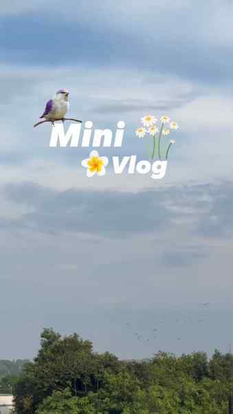 Hum naye creators hain, views kam hain
par sapne chhote nahi