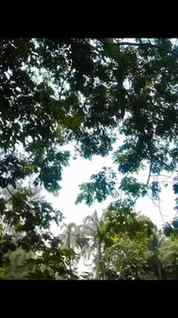 Amar college a giye ja kori
.
.
.#mostiiiiiiiiiiiiiiiiiiiiii