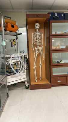 Knows ball in literal sense ☠️
.
.
.
.
.
.
#medicine #medsc