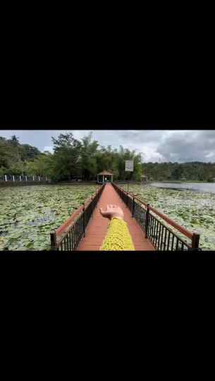We came, We Slayed
#explore #fyp #wayanad #viral #nature