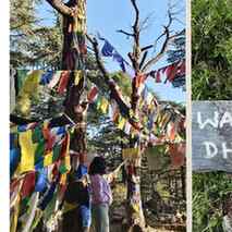 Dharamkot diaries 🤌
@scrl #scrlgallery #postviral
#treking