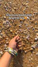 Beach full of shells🥹❤️
[ shell beach in goa, unexplored g