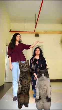 Tag someone you wanna recreate this with😛🤏🏻

(Ye sb karne