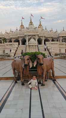 Bhuj swaminarayan mandir
.
.
.
#kirtiMandir #nandibail #cut