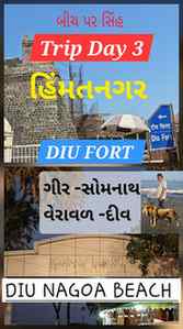 **"ગીર ટ્રિપ ડે 3 દીવના બીચ પર જ્યારે હાવજ લટાર મારીને વહ્યો