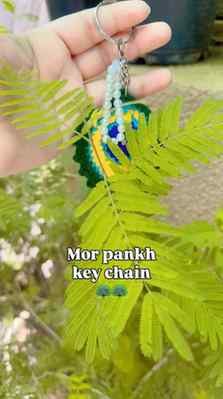 DM me for order Mor pankh 🦚 key chain #instagram #viral #ex