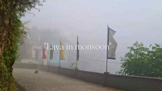 In love with monsoon🧿❤️‍🩹
.
.
.
#northbengal #monsoonvibes