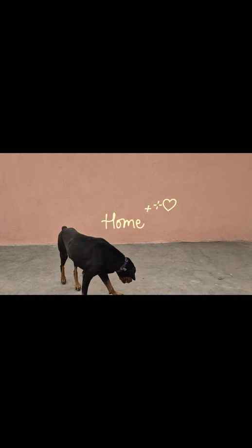 Home sweet home 🏡✨️
.
.
#lifelately #homesweethome