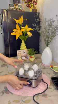 @theagaro_lifestyle Grand Egg boiler and poacher, 2-in1 Boil
