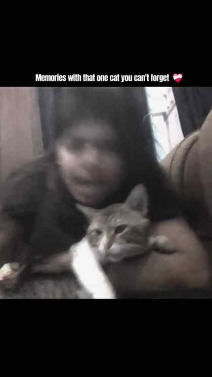 Only a pet parent can relate 🤍
വിട്ട്പോവുമ്പോ സഹിക്കാൻ പറ്റ
