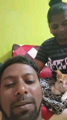 😅 pussy ma Alaparaigal ...😤 #catlover #doglover #