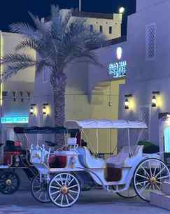 Shiek zayed festival
Abu Dhabi
.
.
.
.
#shiekzayedfestival
