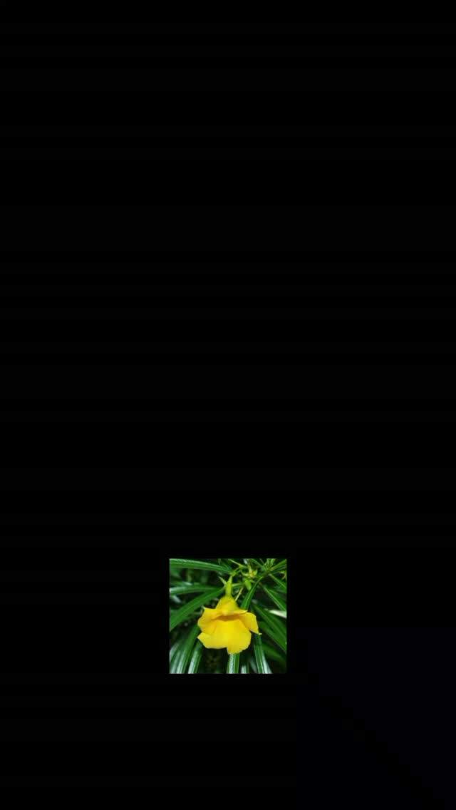 💛💫....
.
.
.
#algorithm #explorepage #reelitfeelit #fyp #b