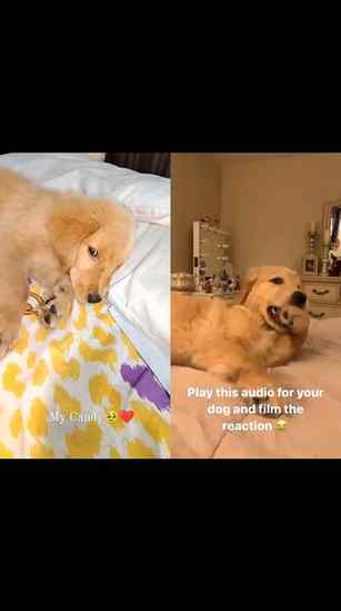 Lol😂🤣 Candy's reaction is also same to same😄❤️🤣 Left one