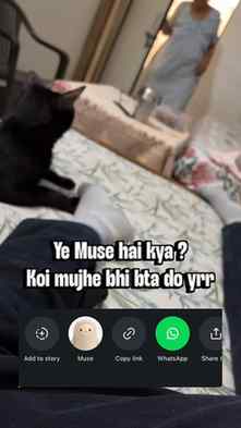 Kya use h iska bta do koi to 

#muse #insta #newfeature #use