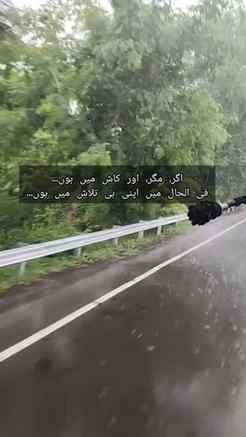 Sukoon chahiye, shor nahi. ๐ค
Ab dil ko bas sukoon ki talaas