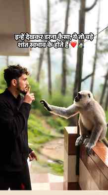 लड़कियों के दुश्मन, लड़कों के पक्के यार 😂  #pahadi #village