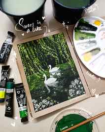 Oh to be a swan swimming around with their lil babies π¦’β¨
I