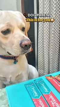 Because every good dog deserves a tasty reward! 🐶💚
Treat y