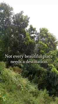 "Not every beautiful place needs a destination."

#instagram