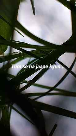 #asethetic Nature photography 
#instagram #trendingnow #vira