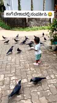 ಕಾಗೆ ಬೇಕಾದಲ್ಲಿ ಸಂಪರ್ಕಿಸಿ 🐦📞😂

POV: You came to eat… but f