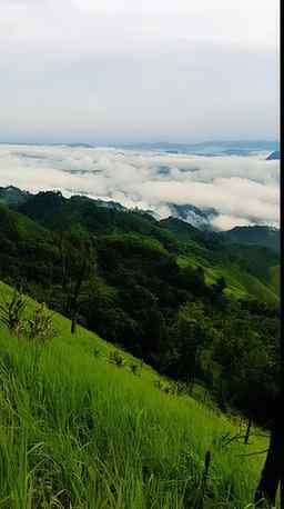 📍Nature’s paradise | 🌱 Mountain vibes | ☁️ Cloudy escape