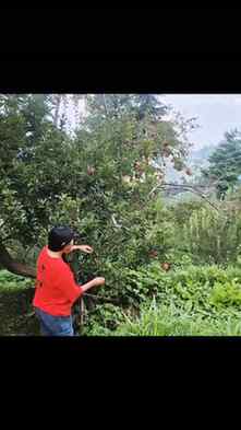 #himachalpradesh #fypppppppppppppppppppppppppppppppppppppppp