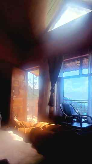 I mean… look at this.
The tall ceiling catches the light di