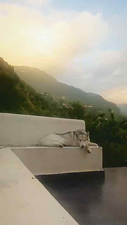 Sunsets + Your friend 🐶 + Mountains = ?

#HallanValley #man