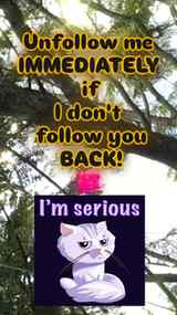 Let's support each other !
#FollowForFollow #form #followfor