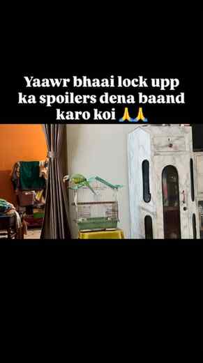 Nivedan hai 🙏🏻
#explore #fyp #reelitfeelit #lockupp2 #loc