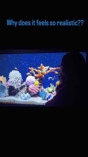 It feels so real 🩵🦋 

[aquarium, fishes, tv wallpaper, pho
