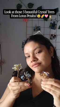I got these beautiful Crystal Trees from💙🌈💚
@lotus.petals