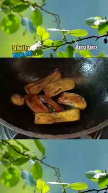 Begun Bhaji (Brinjal Fry)(Reel) ๐น๐โค๏ธ๐ฎ๐ณ๐ #BegunBhaji #Br