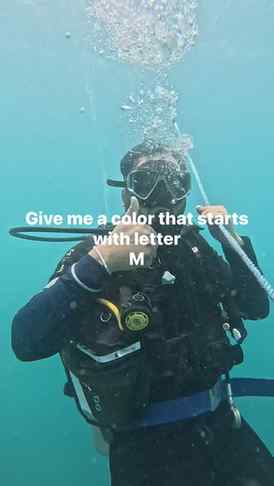 Mlue?
#scuba #scubadiving #underwater #srilankatravel #tren