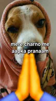 The only thing I need is " PAISAN "
.
.
#ravikishan #memesd