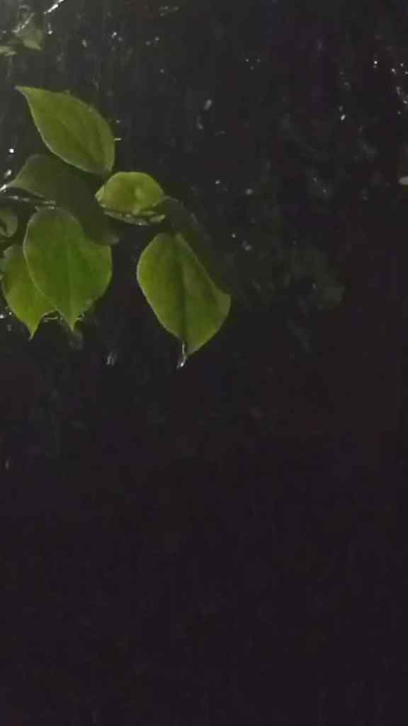 𝙇𝙞𝙛𝙚 𝙛𝙚𝙚𝙡𝙨 𝙨𝙤𝙛𝙩𝙚𝙧 𝙬𝙝𝙚𝙣 𝙞𝙩 𝙧𝙖𝙞𝙣𝙨🌧️