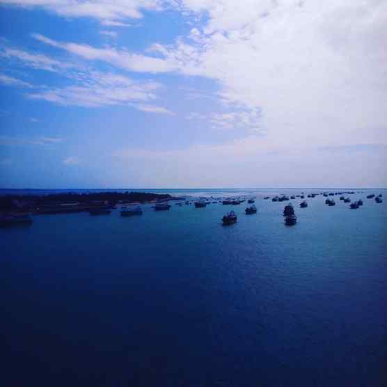 Pam island - Rameshwaram
.
.
.
#island #pamisland #rameshwar