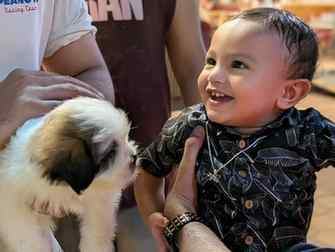 Double the trouble, double the cute.🐕👶👣
#cute #puppy #ba