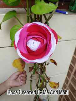 Rose Created By me and Mahi.
.
.
.
.
.
#paperflowers #paper
