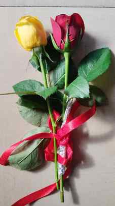 Picking the best rose for the best person in my life. Happy