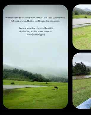 Next time you’re driving between Bangalore and Ooty choose t