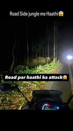 Road side haathi ka attack forest area
#trending #viral #ins